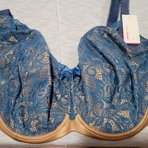 Ewa Michalak Bra FB Florencja 115 H